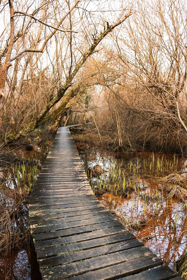 Balade à l'Étang Noir de Seignosse Que faire dans les Landes