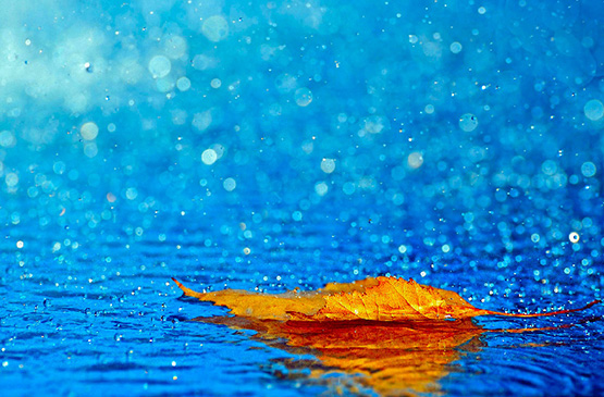 pluie dans les landes