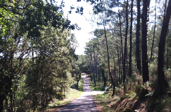 Land'aventure-découvrir les Landes autrement