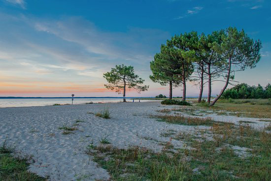 Biscarrosse - Grands Lacs-incontournable Landes