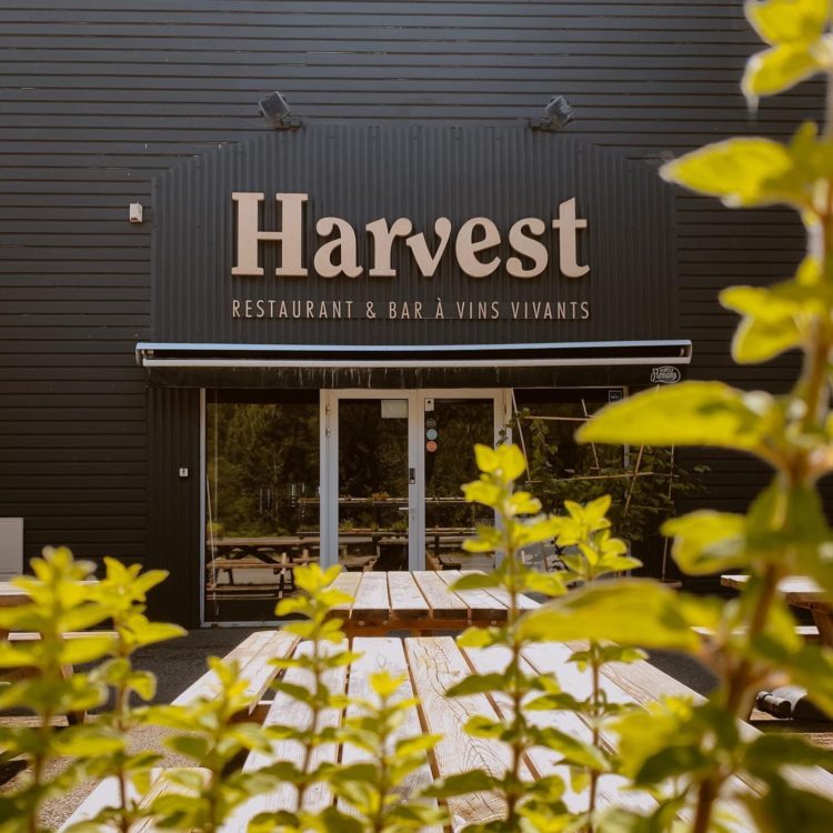 harvest-restaurant-hossegor-bar-a-vin-devanture