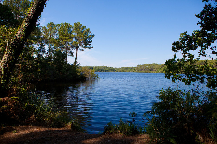 Etang de la Prade dans les Landes à découvrir lor des balades en trottinettes avec Trott'in Landes