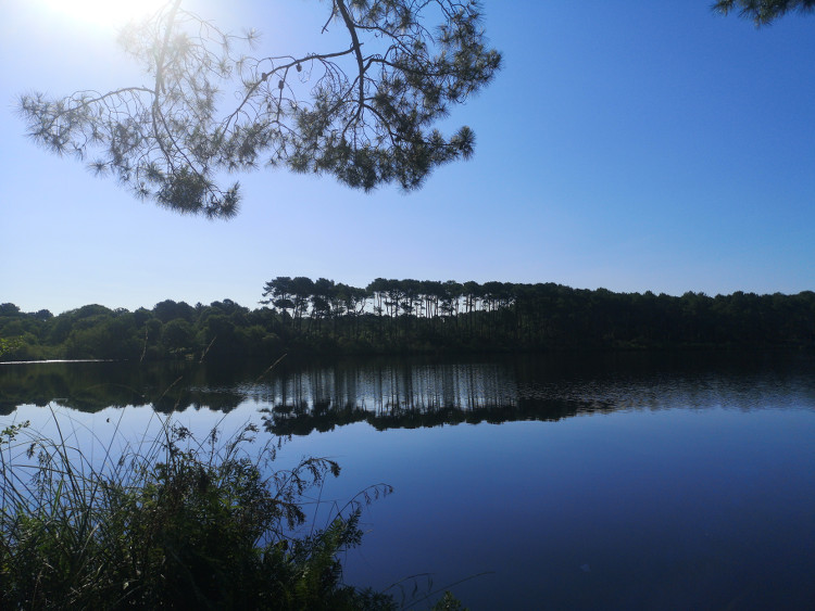 Etang à découvrir pendant une balade à trottinette avec Trott'in Landes