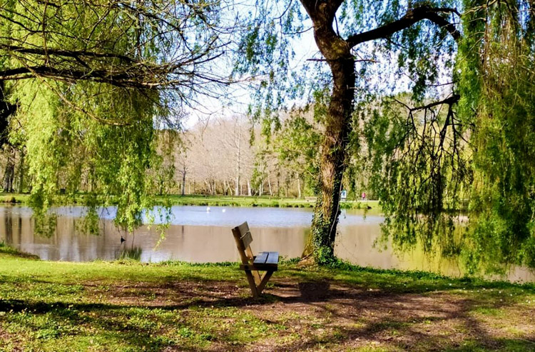 Banc au lac de Christus pour se reposer