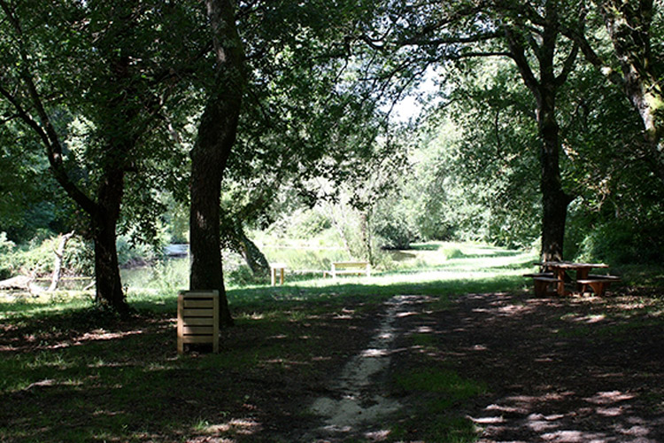 Site des 9 Fontaines à Bostens dans les Landes