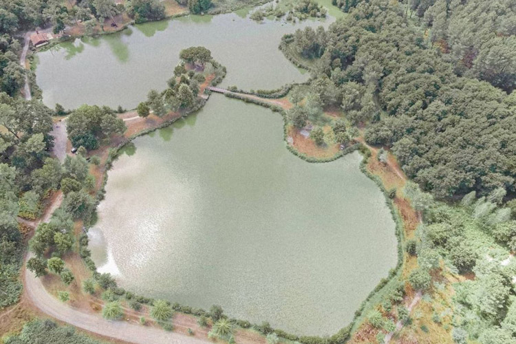 Vue aérienne du lac de Massy dans les Landes