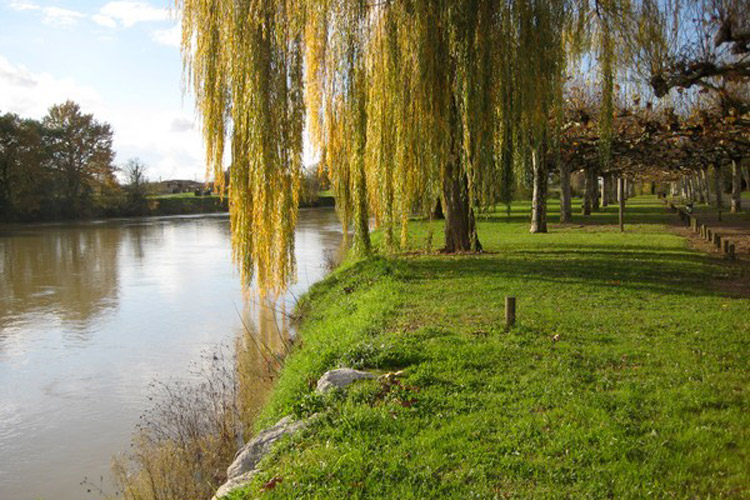 Berges de Grenade-Sur-Adour dans les Landes