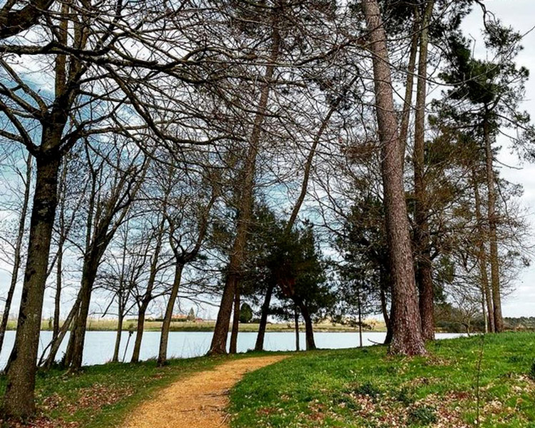 Lac d'Ages dans les Landes