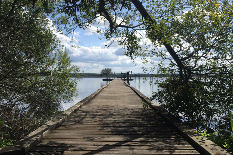 lac-azur-ponton-arbres-landes