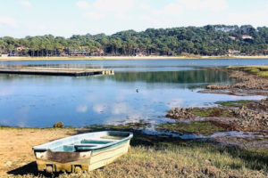 lac-hossegor-barque-landes-pins