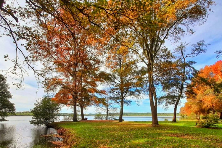 lac-soustons-landes-pointe-des-vergnes-automne