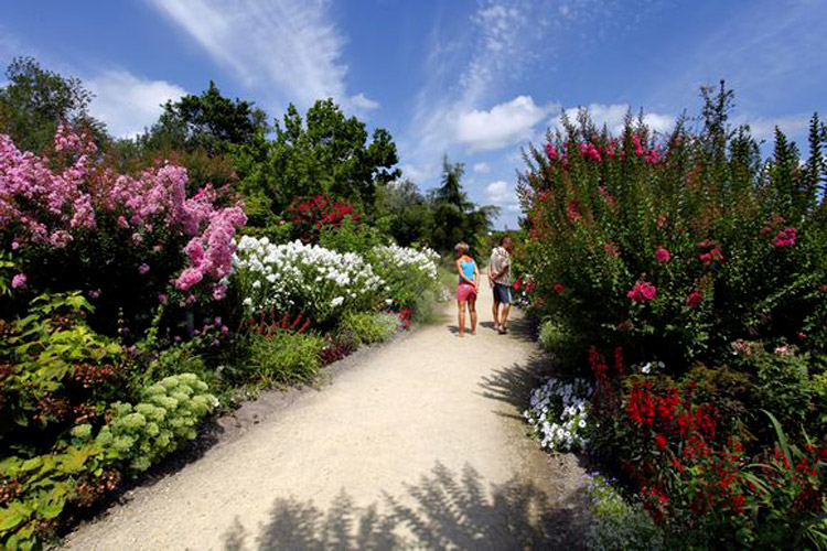 Chemin Promenade Fleurie Mimizan