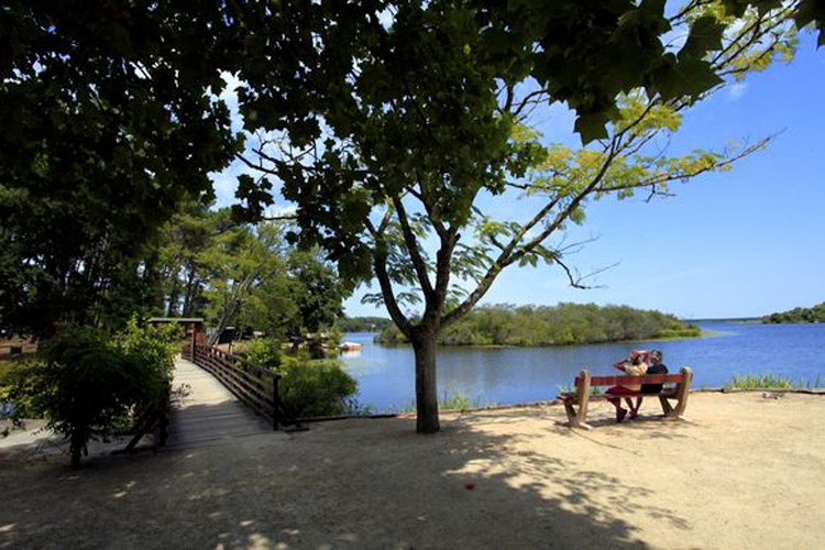 Promenade Fleurie Lac Ponton Mimizan