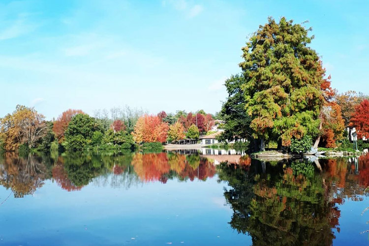 Vue du lac de Dax en Automne