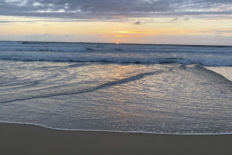 Plage de Moliets Landes Promenade Dog-Friendly-Landes