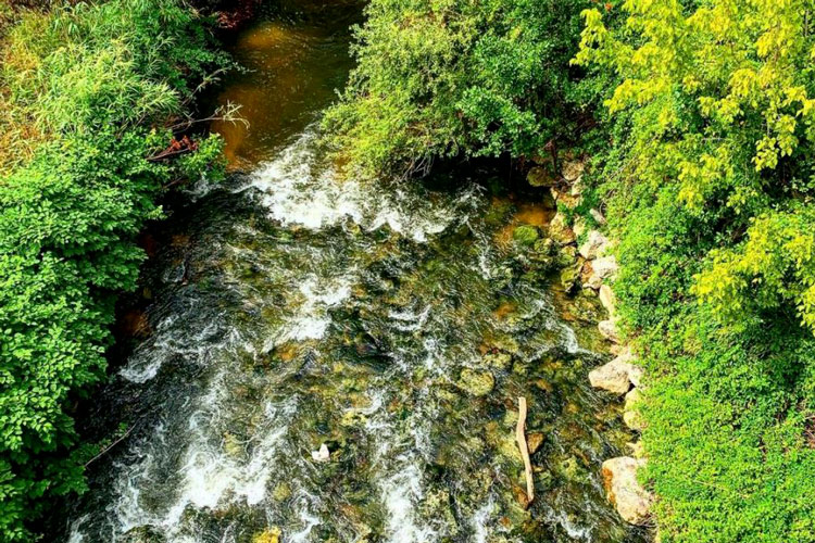 Rivière Estampon à Roquefort dans les Landes