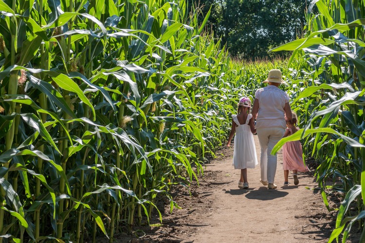 enfants-mamy-pop-corn-labyrinthe-web-min