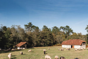 Couverture article marquèze