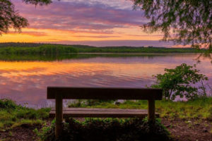 Article parcs jardins landes