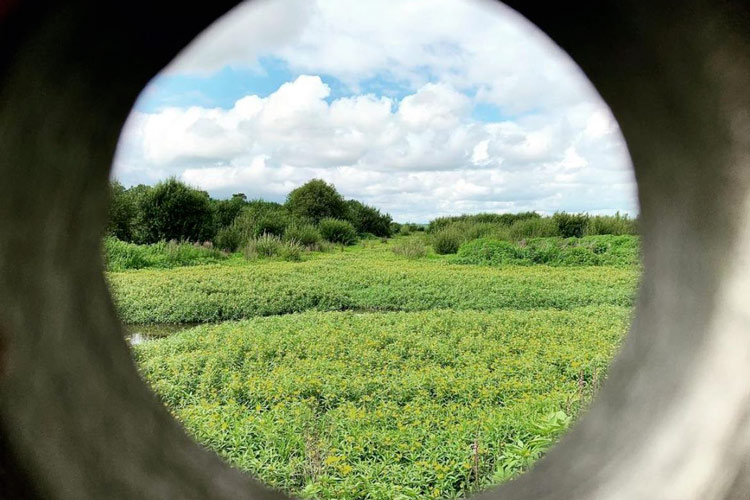 Observatoire reserve naturelle