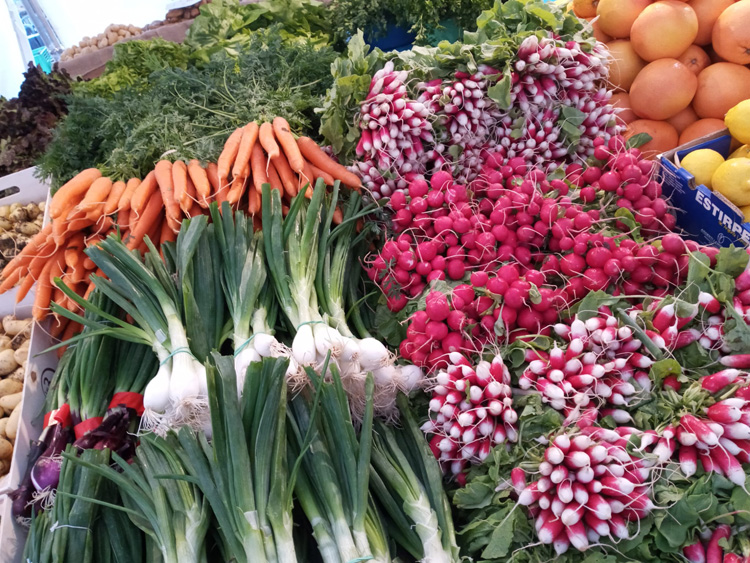 tresors-du-primeur-radis-oignons-carottes