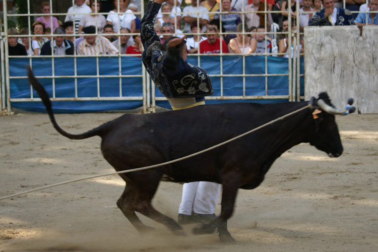 Ecarteur courses landaises traditions landaises