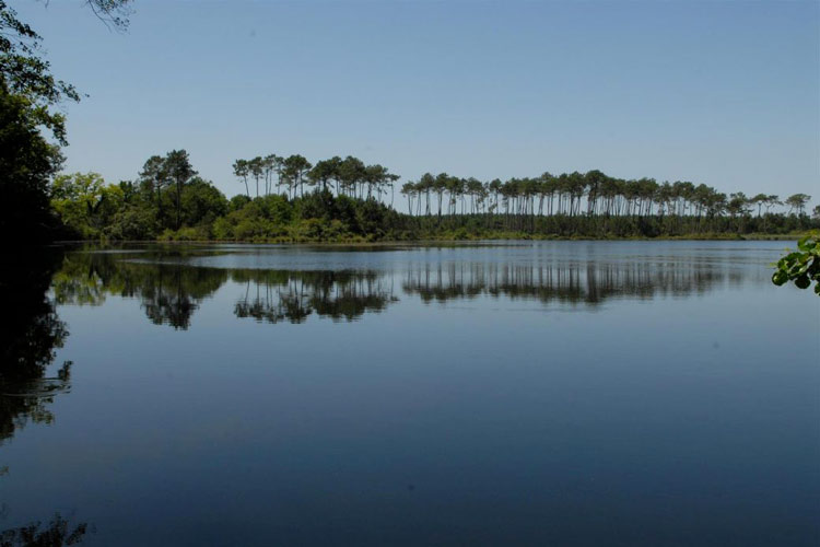 Etang d'Abesse Dax sorties landes week-end 6 novembre