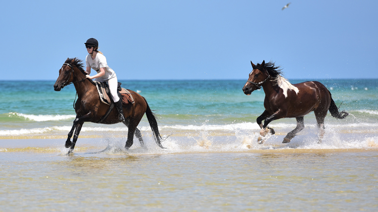 centre-equestre-marina-mimizan-chevaux-plage