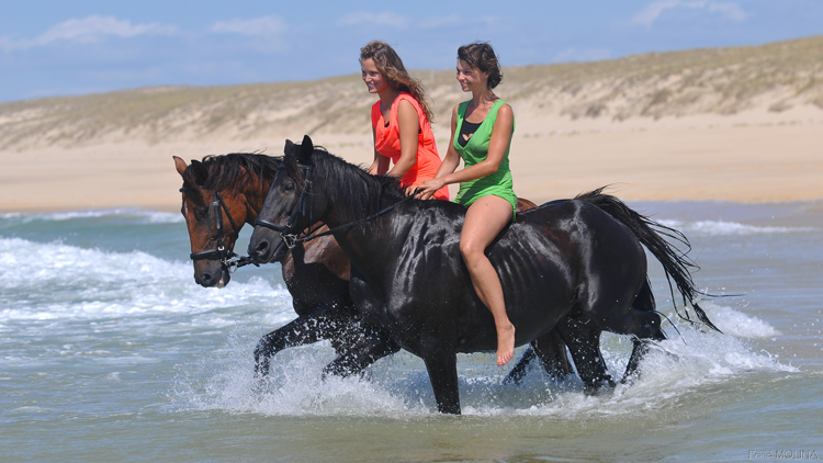 centre-equestre-marina-mimizan-promenade-cheval-mimizan