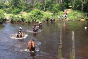 centre-equestre-marina-mimizan-randonnee-equestre