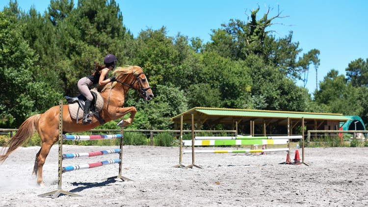 centre-equestre-marina-mimizan-stage-perfectionnement-dressage