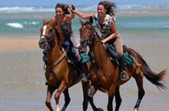 couverture centre equestre marina mimizan chevaux equitation plage ocean landes