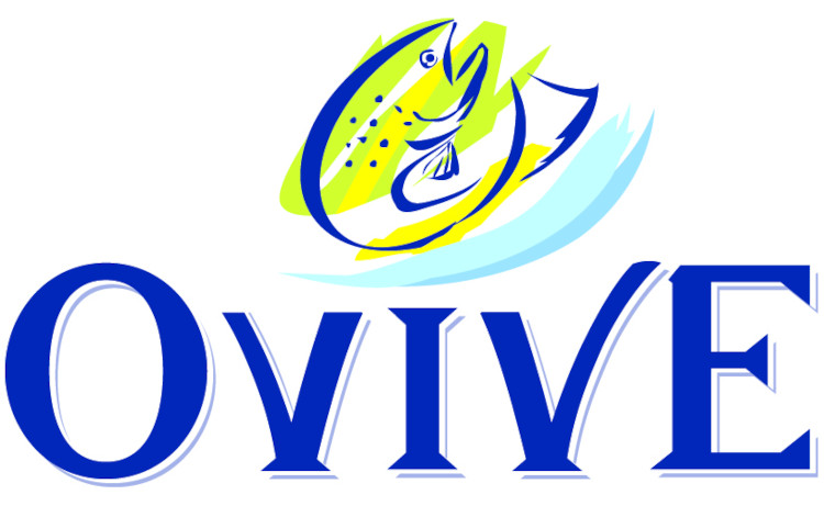 logo Ovive