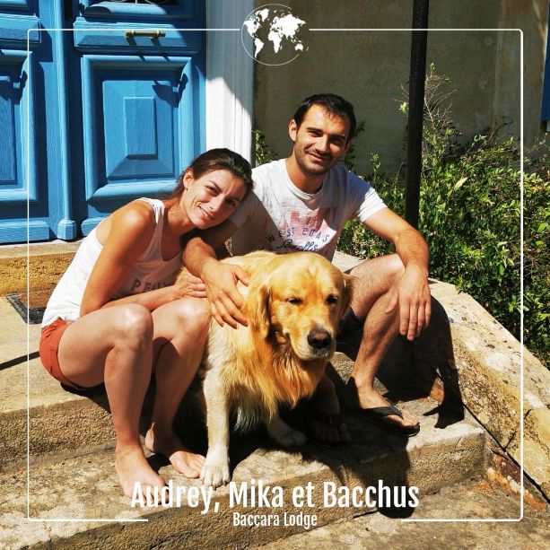 baccara-lodge-micro-aventures-landes