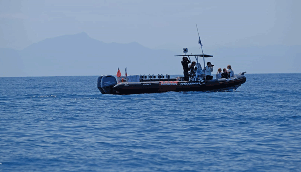 apex-cetacea-sortie-bateau-capbreton