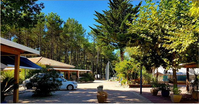 camping-L'oceane-coeur-landes