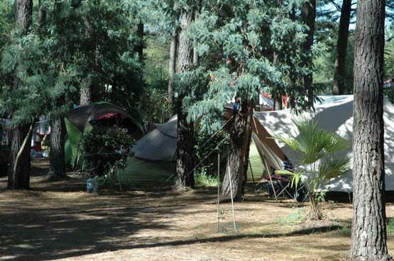 camping-L'oceane-landes-emplacement-camping