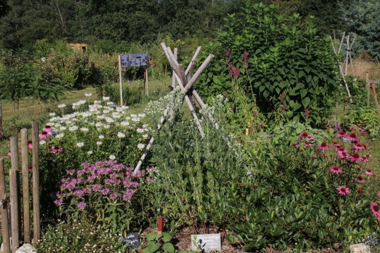 les jardins de l'humanité