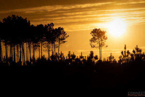 couverture photo semaine idees sorties 19 mars week-end landes