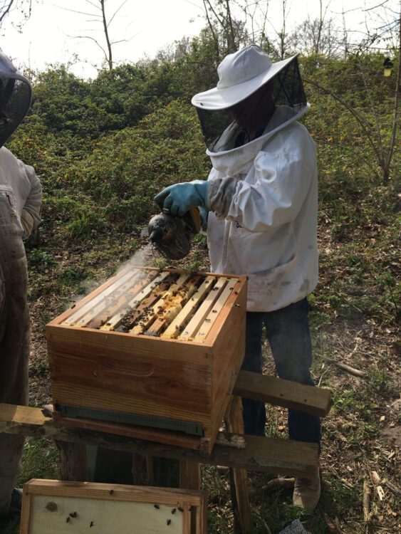 rucher-de-claron-apiculteur-une-journee