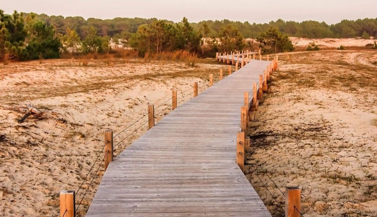 Chemin en bois du Vivier qui mène à la plage à Biscarrosse