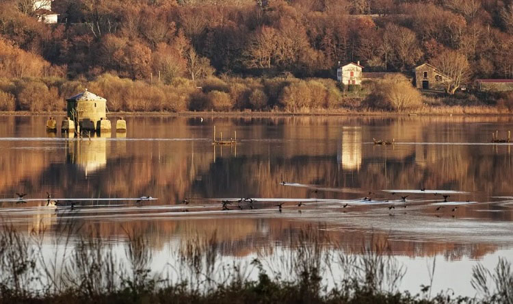 La Réserve du Marais d'Orx