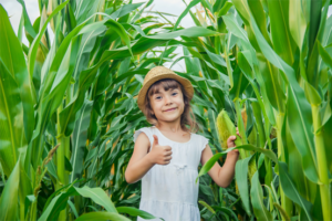 corn-lanta-sanguinet-jeu-avantures-enfants-mais.