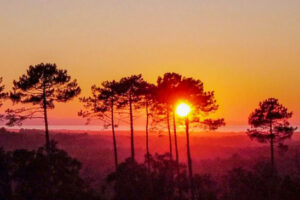 couverture landes week-end 2 juillet pins sunset