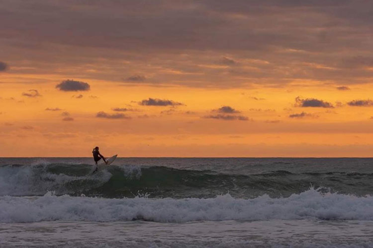 photo semaine landes week-end 16 juillet