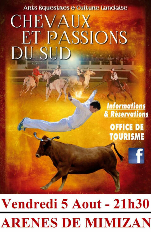 chevaux et passions du sud mimizan landes