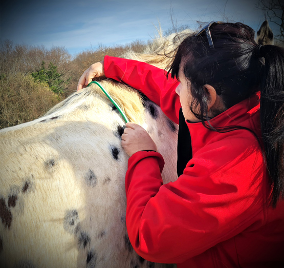 carole-nogueira-saddle-fitter-st-jean-de-luz