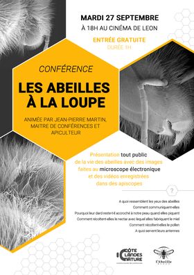 conférence abeilles