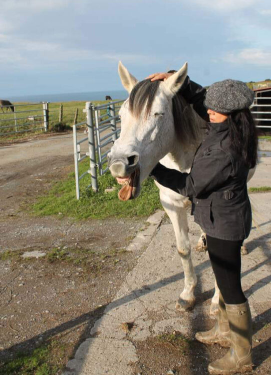 travail-mors-cheval-pays-basque