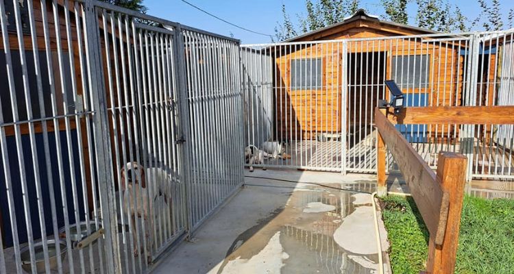 entre-adour-et-montagne-gite-chambres-d-hotes-table-d-hotes-landes-box-chien-pension-canine